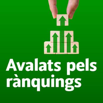 Avalats pels rnquings